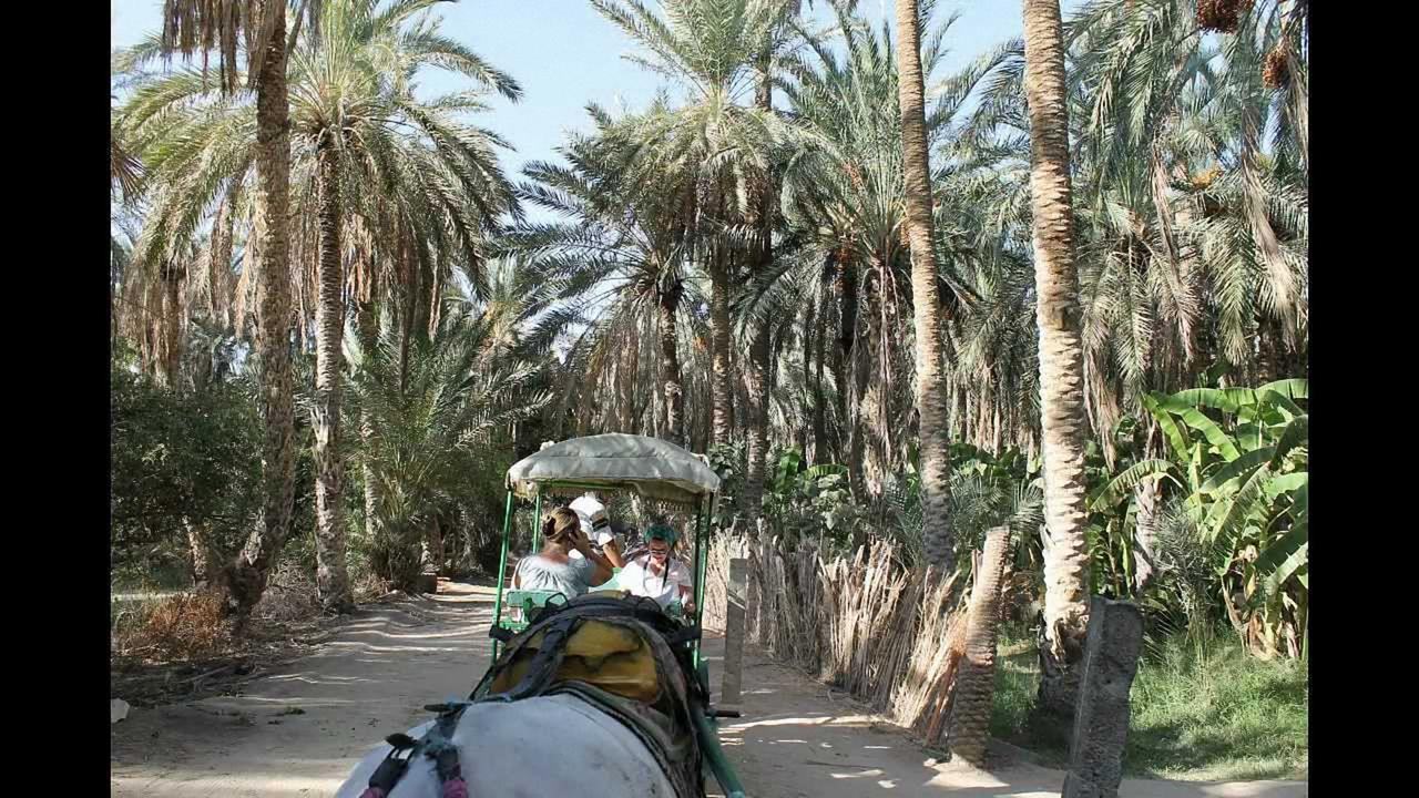 Dar Ezzahra Villa Tozeur Exteriör bild